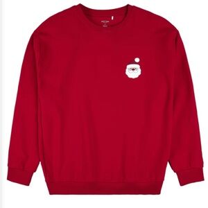 Petit Lem Festive Red Santa Pullover